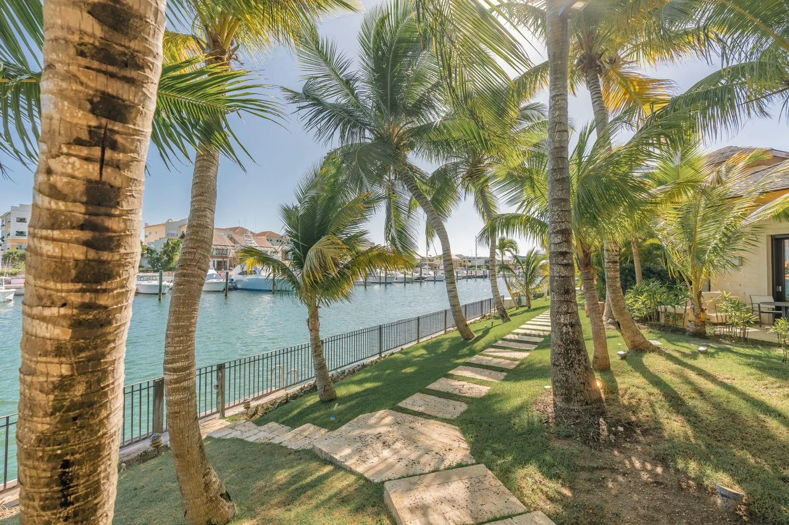 A path of stone through the palms along the water