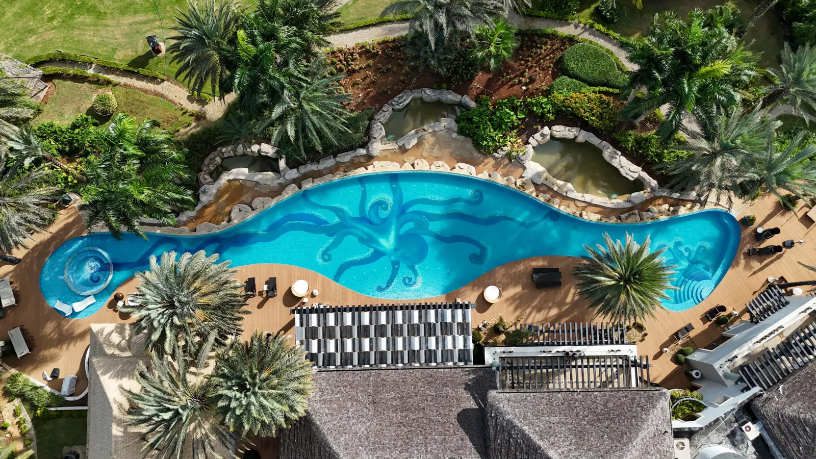 A winding pool among the palms, seen from above