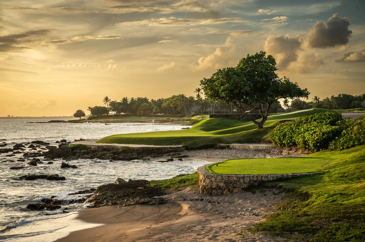 Teeth of the Dog at golden hour: a green on the edge of the sea under a lone tree